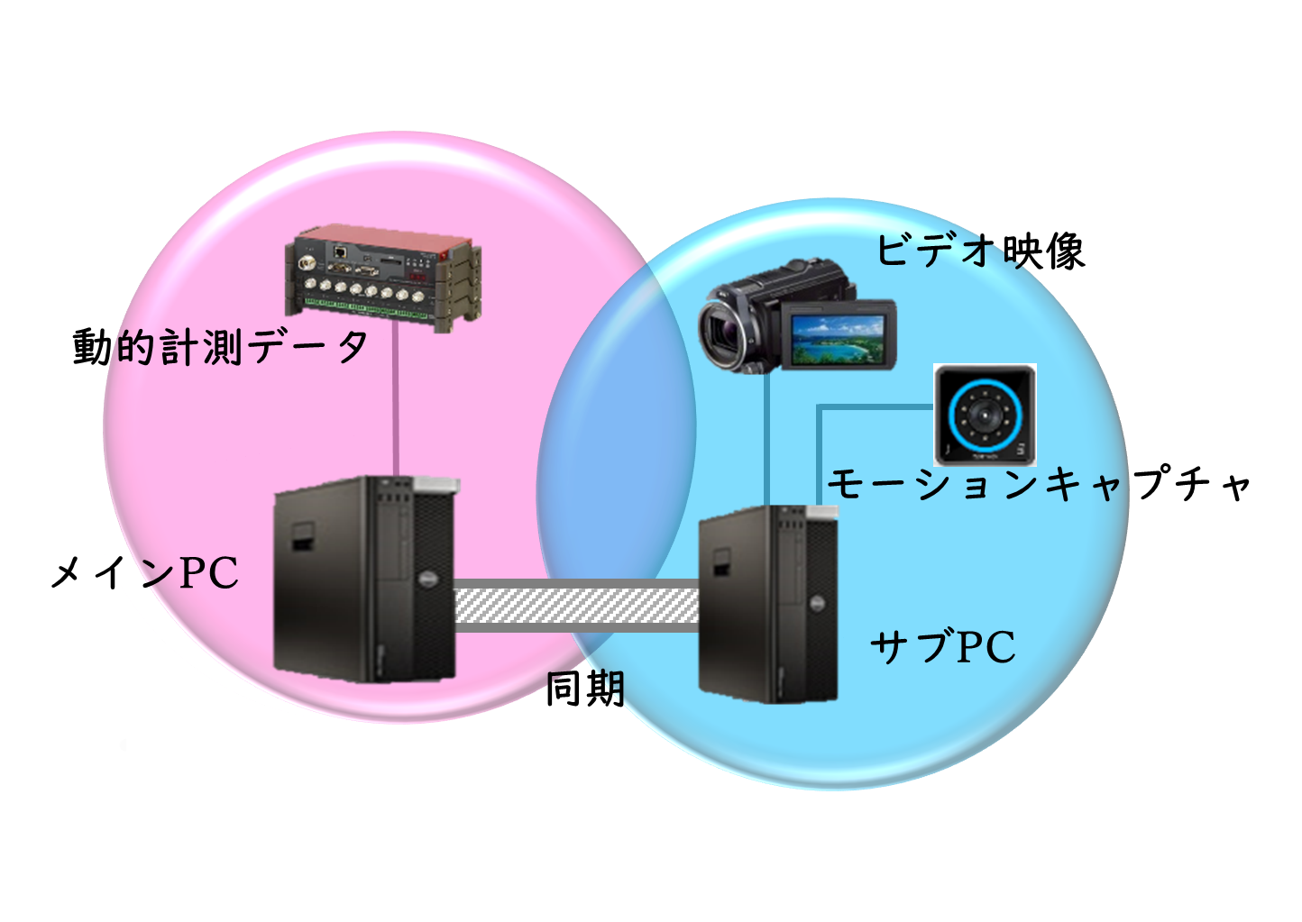 Dynamic 動的実験計測ソフト